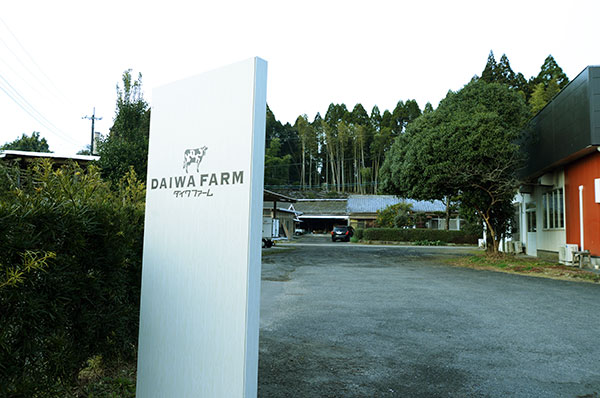 producer_17_2589